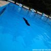 Froda2016 (45)